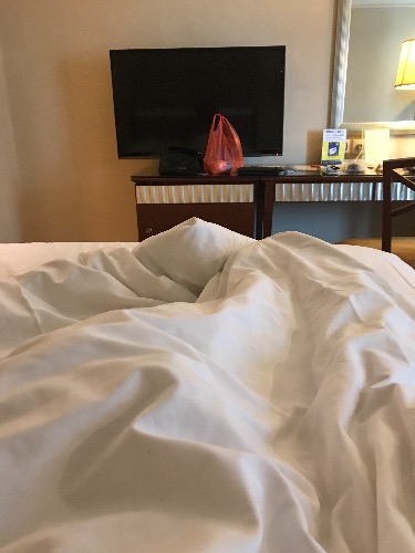 image.jpg